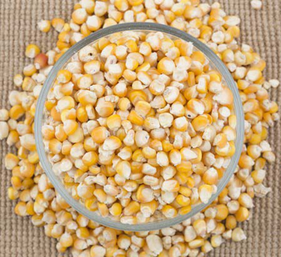 Maize (Makka)