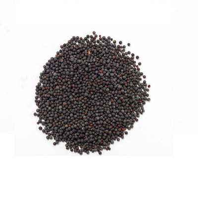 Black Mustard Seeds