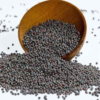 Black Bold Mustard Seeds
