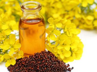 Black Mustard Seeds Oil