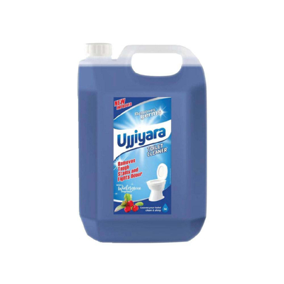 Ujjiyara Toilet Cleaner Winter Green