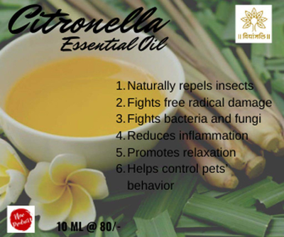 Citronella Essential Oil