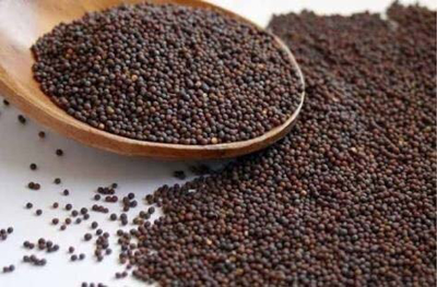Picture of Paramparik/Swa-Jaivik/Organic/Mustard Seed - 250 gm
