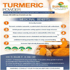 Turmeric Powder Food Grade