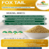 Fox tail millet