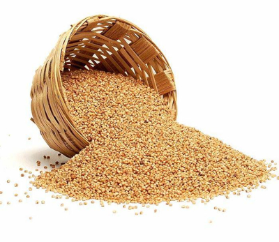 Little Millet (Gajro / Kuri / Sama)