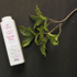 Picture of Vidhyanjali s Face & Deodorant Powder - 100gm